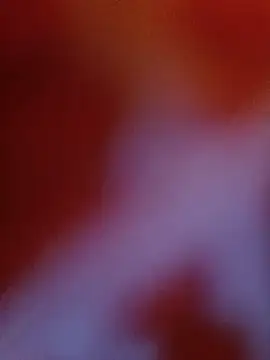 -Sahar Cameră chat live