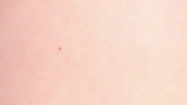 Chat ao vivo de miamiller69