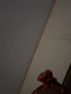 Sala de chat ao vivo de minnieland