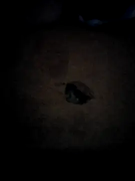 Sala de chat ao vivo de sol_miluna