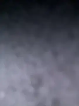 Lola-Bee Live Chatrum