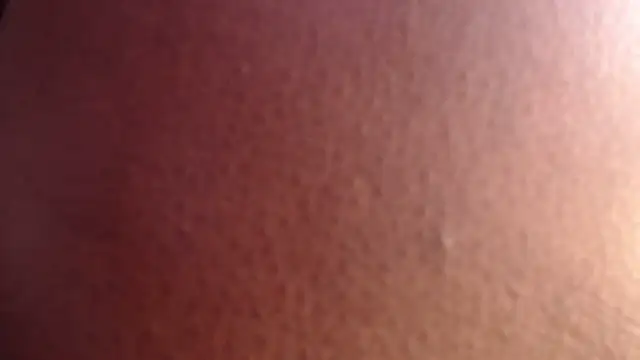 Chat ao vivo de _Zooee
