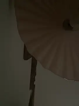 חדר צ'אט בשידור חי של 4n4l1zz4m1