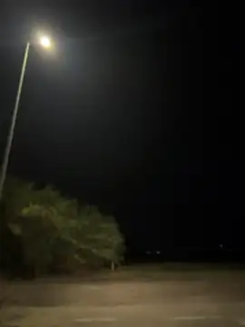 חדר צ'אט בשידור חי של Baby_Panther