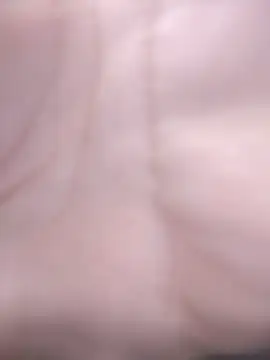 חדר צ'אט בשידור חי של Latiinvenushot