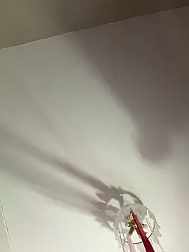 bigbabykiki 现场聊天室