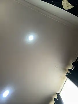 pawmistry Live Chatraum