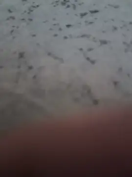 Chat ao vivo de ZettKogua