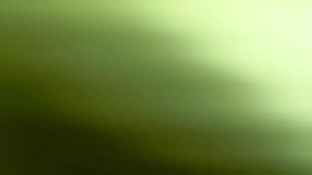 Pokój czatu na żywo – ElizabetthKitty