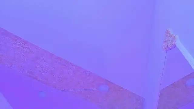PandoraRider Cameră chat live