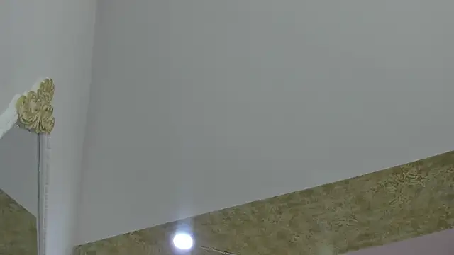 PandoraRider чат на живо