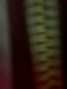 PandoraRider Cameră chat live