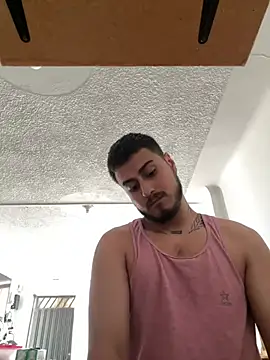 הופעת וובקאם של ZestedSnippet
