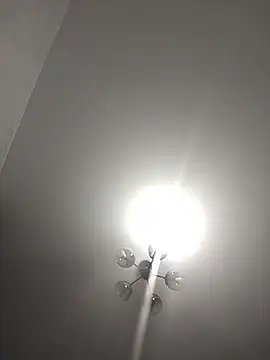 Sala de chat ao vivo de EvyLure