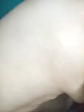 Giviper1 Live Chatraum