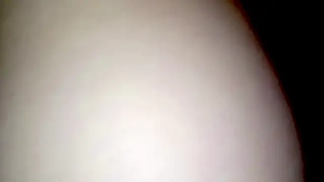 Sala de chat en directo de PetiteIvoryQueen19