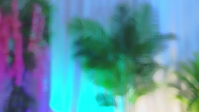 EvaHair লাইভ চ্যাট রুম