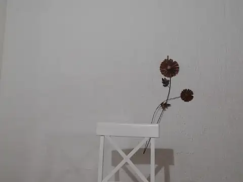 Chat ao vivo de violettamartins