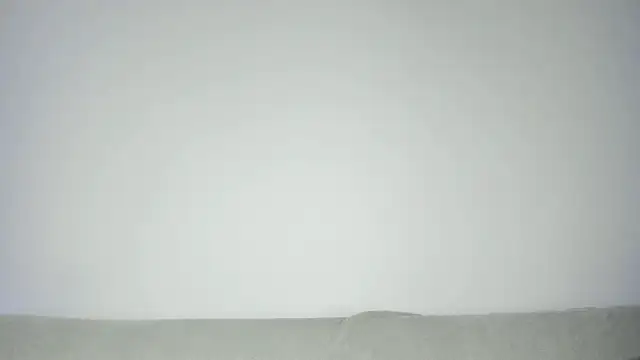 MiaMews Live Chatrum