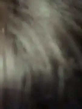 Živá chatovací místnost _Galax-