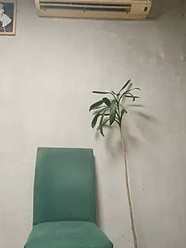 Tamarabesos Live Chatraum