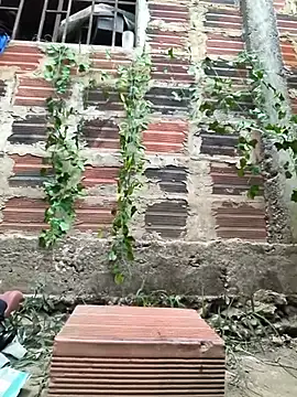 MirandaSingle লাইভ চ্যাট রুম