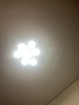 Janet_Welder Cameră chat live