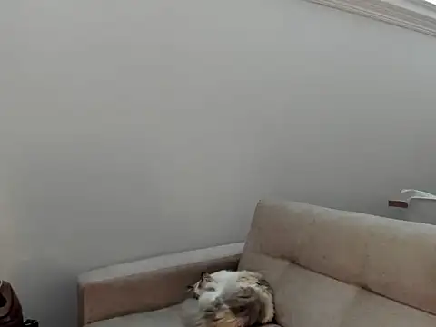 AmandaCallum Adlı Modelin Canlı Sohbet Odası