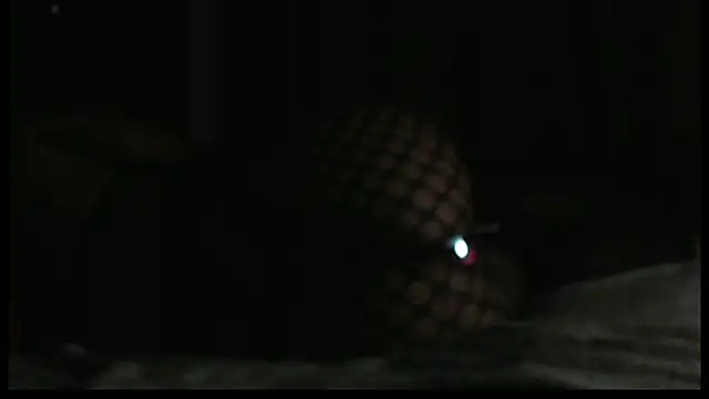 Živá chatovací místnost SashaBrianna99