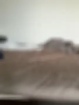 Chat ao vivo de KITAJApan