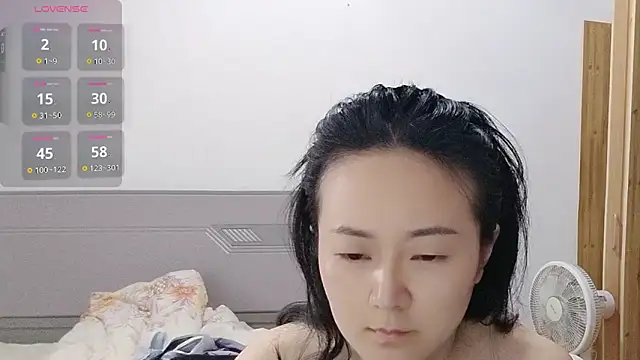 fanfan-FF live-chat rom