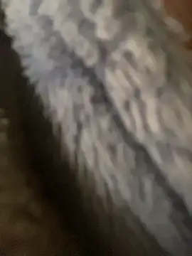 Bustylisa17 실시간 채팅방