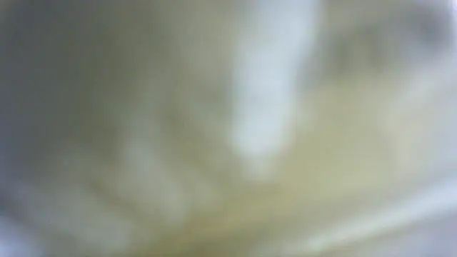 Živá chatovací místnost linksjack1010