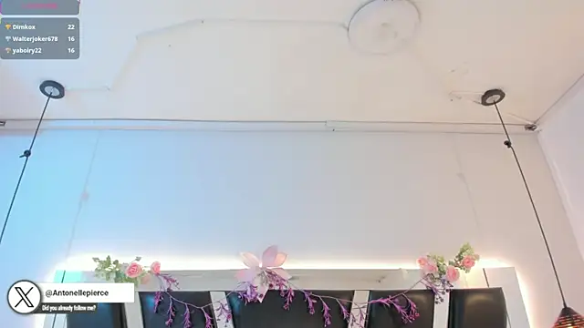 antonelllepiercee Live chatroom