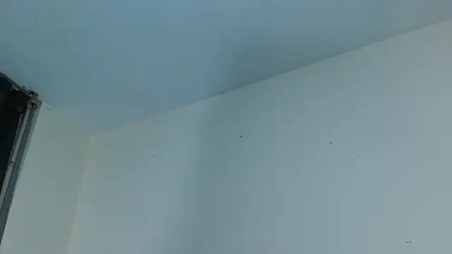 Živá chatovací místnost maturepriscila