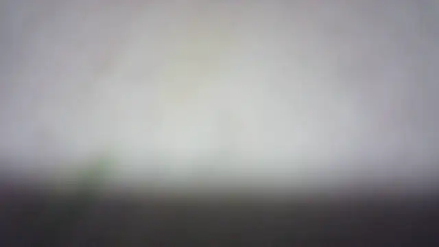 Fariana01のライブチャットルーム