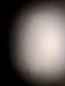lemon69Reo Live Chatrum