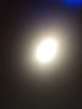 Amyhotmilfn Live chat-huone