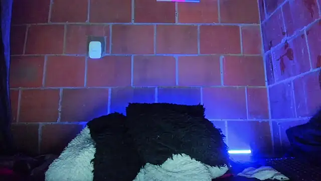 Sala de chat ao vivo de Cata-angel