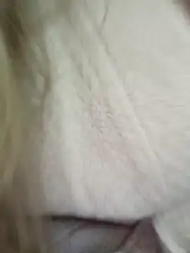 חדר צ'אט בשידור חי של KattyLuuu