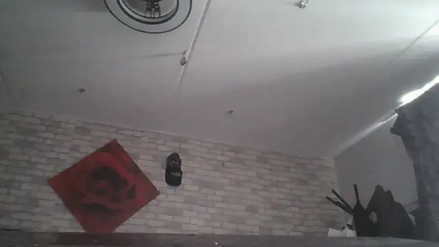 pietjebelxxkaar81xx Live Chatrum