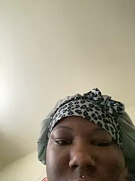 DamnBubbles' Live Chat Room