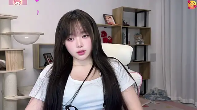 SakuraCat6 실시간 채팅방