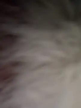 Sala de chat en directo de Maddy_Jones