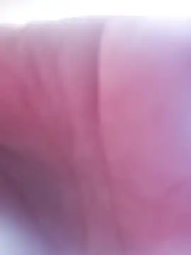 Chat ao vivo de Lauren_Amabel
