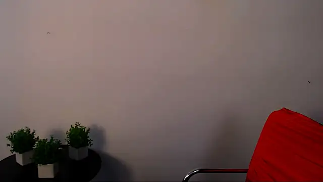 Lexi_Jous 실시간 채팅방