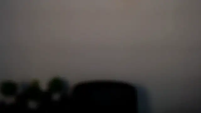 Lexi_Jous 실시간 채팅방