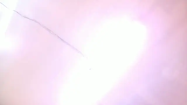 PEBBLES365 Live Chatraum