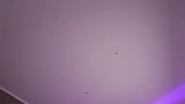 CleeoAdams_ 실시간 채팅방