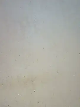 Smack_babe Live Chatraum